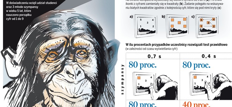Człowiek pochodzi od małpy? Oto cała prawda
