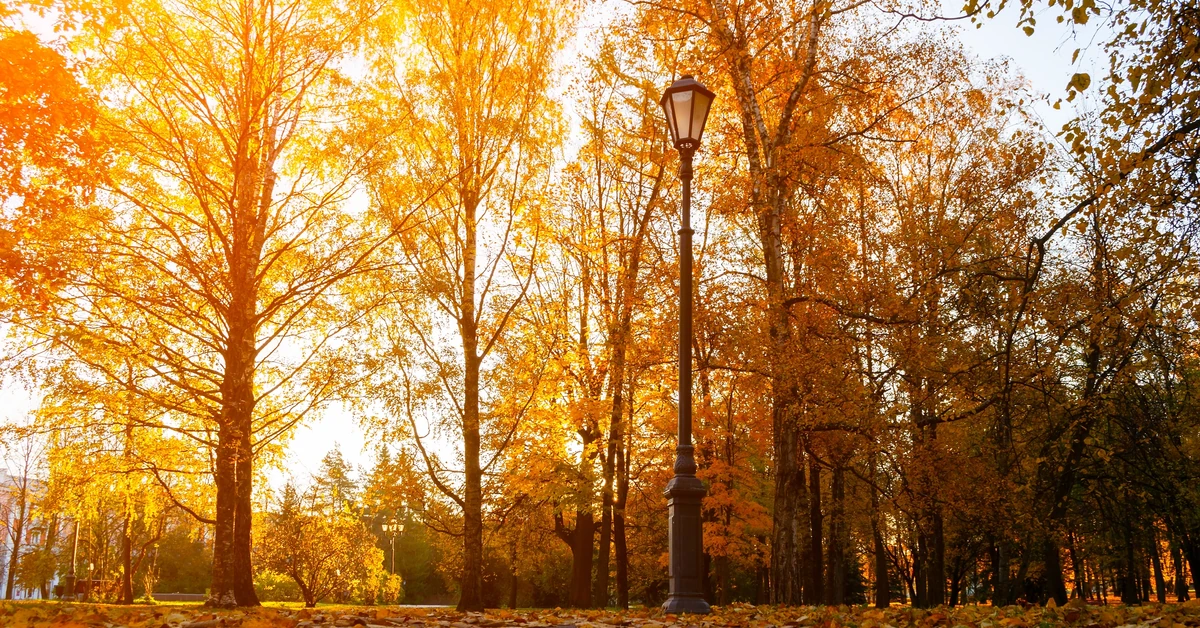 Cyklon Joshua będzie kierował w stronę Polski masy ciepłego powietrza. Prognoza pogody na czwartek, 23 października