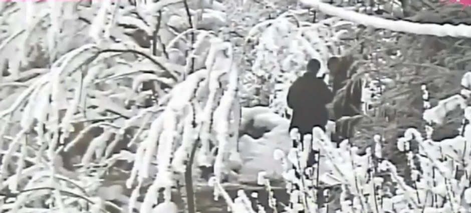 Velja Nevolja sa snajperom u šumi