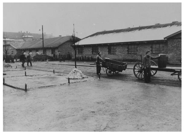 Więźniowie rozwożą żywność w obozie Auschwitz I. Fotografia wykonana przez SS w 1943 lub 1944 r.