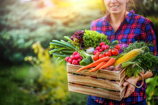 Domowe uprawy warzyw to ciekawe rozwiązanie które pozwala cieszyć się świeżymi, zdrowymi plonami prosto z własnego ogrodu