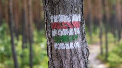 Wichury nad Polską. Warszawski ratusz ostrzega, żeby nie wchodzić do lasu