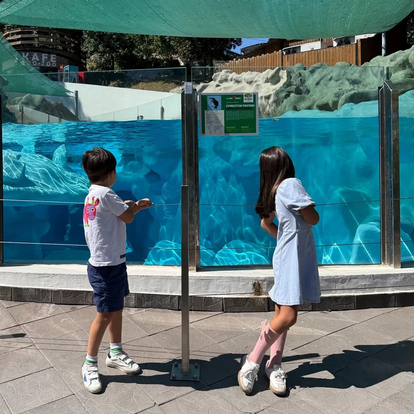 Jelisaveta Orašanin slavi peti rođendan sinu Bogdanu