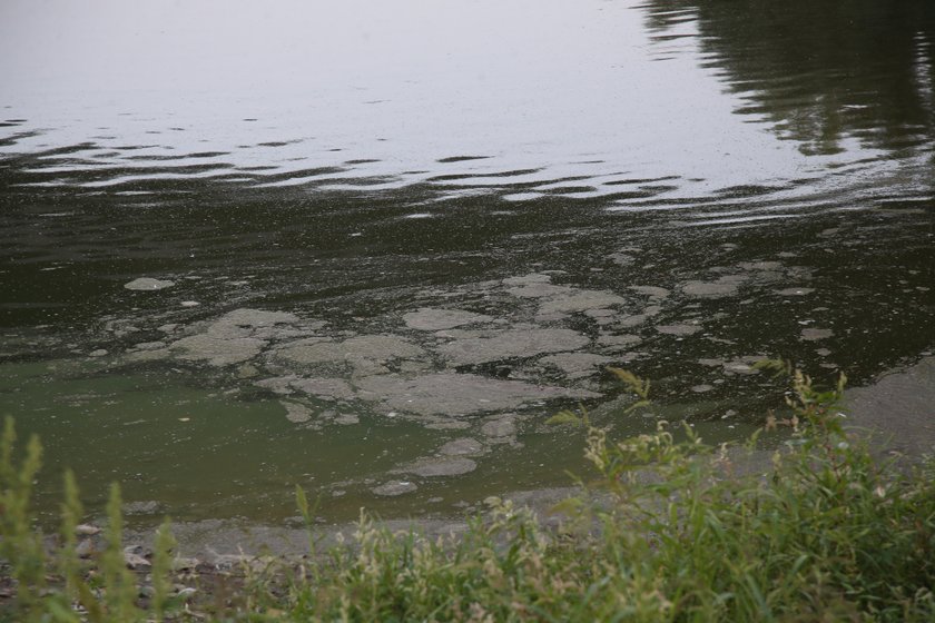 Fala ścieków dociera na Pomorze. Służby ostrzegają!