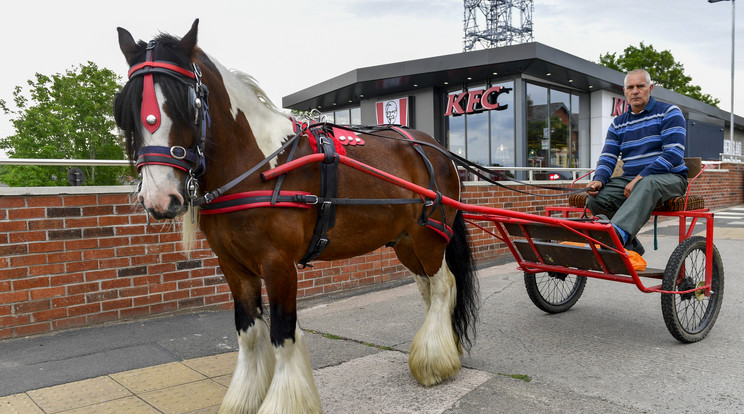 Ian Bell hiába hajtott be lovas kocsiján a KFC autós éttermébe, nem szolgálták ki és elzavarták onnan / Fotó: Northfoto