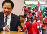 No worker can survive on less than ₦100,000 minimum wage - Shehu Sani