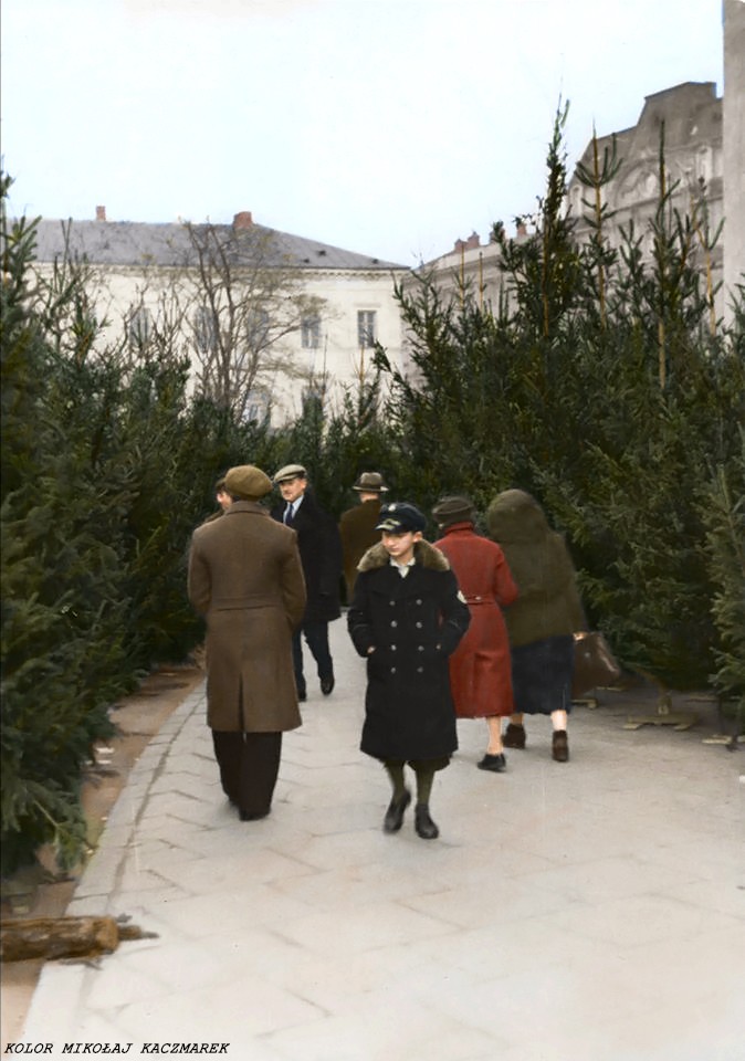 Sprzedaż choinek przy Placu Trzech Krzyży. Warszawa 1934