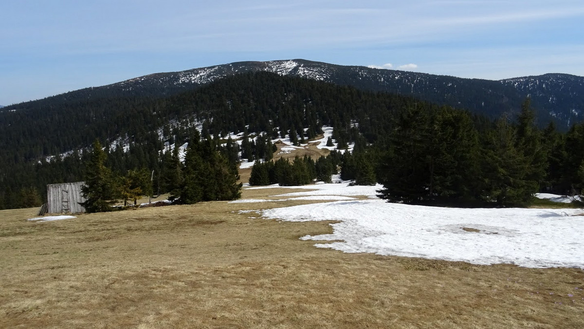 Palenica (Beskid Żywiecki)