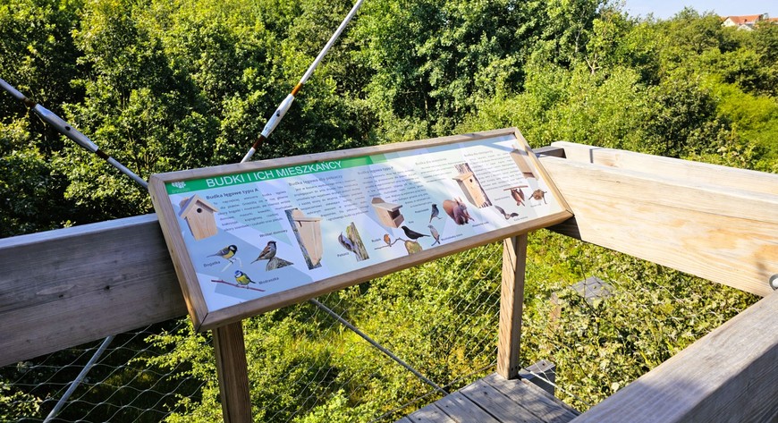 Park Świetlików na Maślicach najlepiej odwiedzić właśnie teraz, latem.