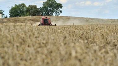 rosyjska i białoruska żywność w polsce. jest interwencja sejmu