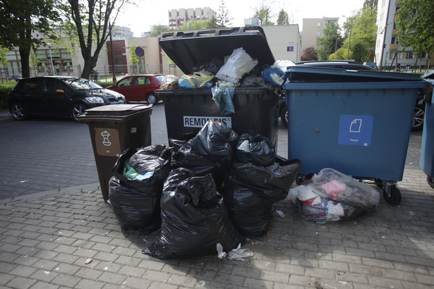 Mandaty i upomnienia. Nie tylko za brak segregacji śmieci