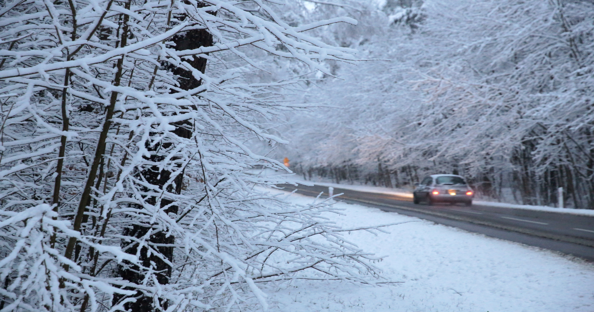 Alarmy-I-i-II-stopnia-Silny-mr-z-i-gololed-w-5-wojew-dztwach-do-rody