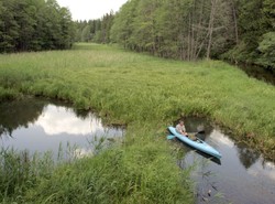 Rospuda ocalona, wykonawca chce pieniędzy