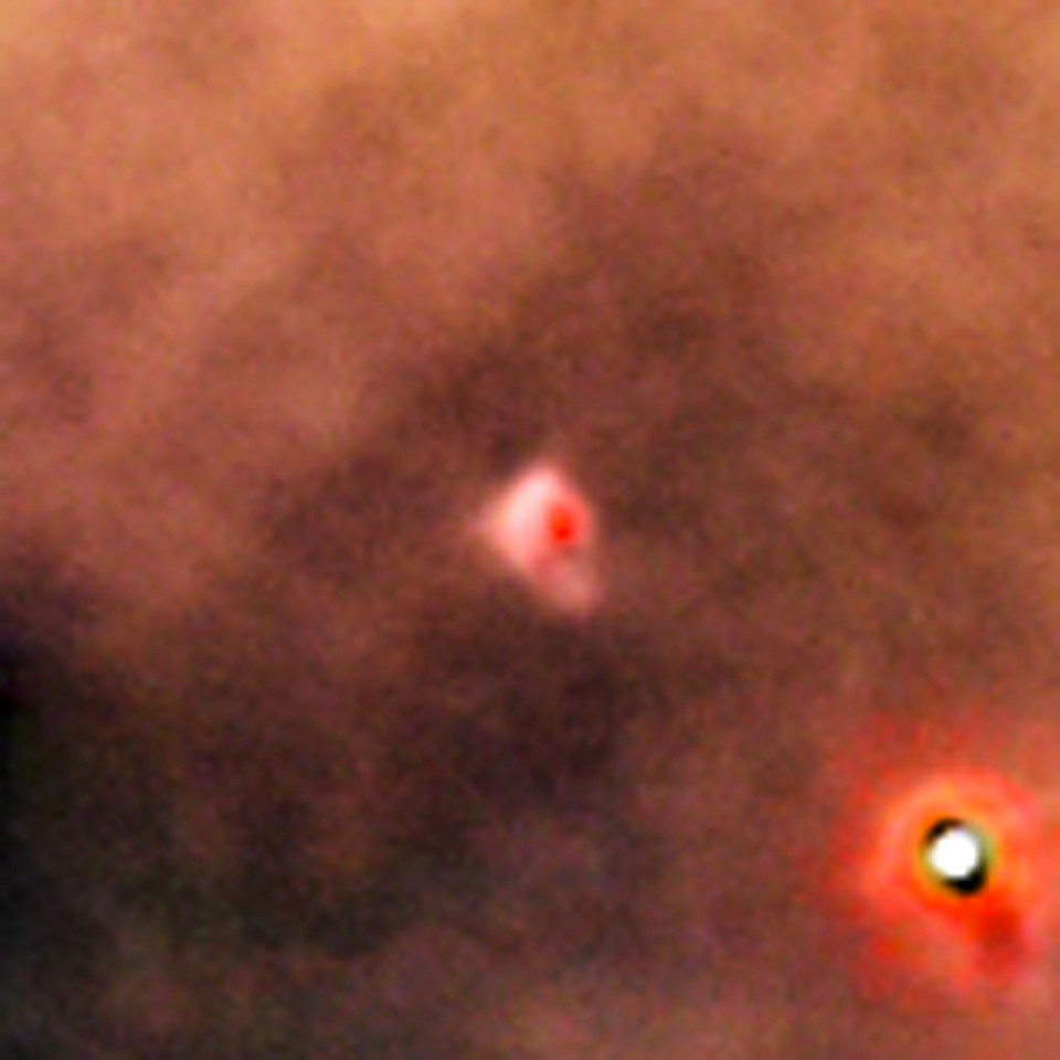 Born in beauty: proplyds in the Orion Nebula