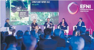 Globalna gospodarka – nowy paradygmat wzrostu