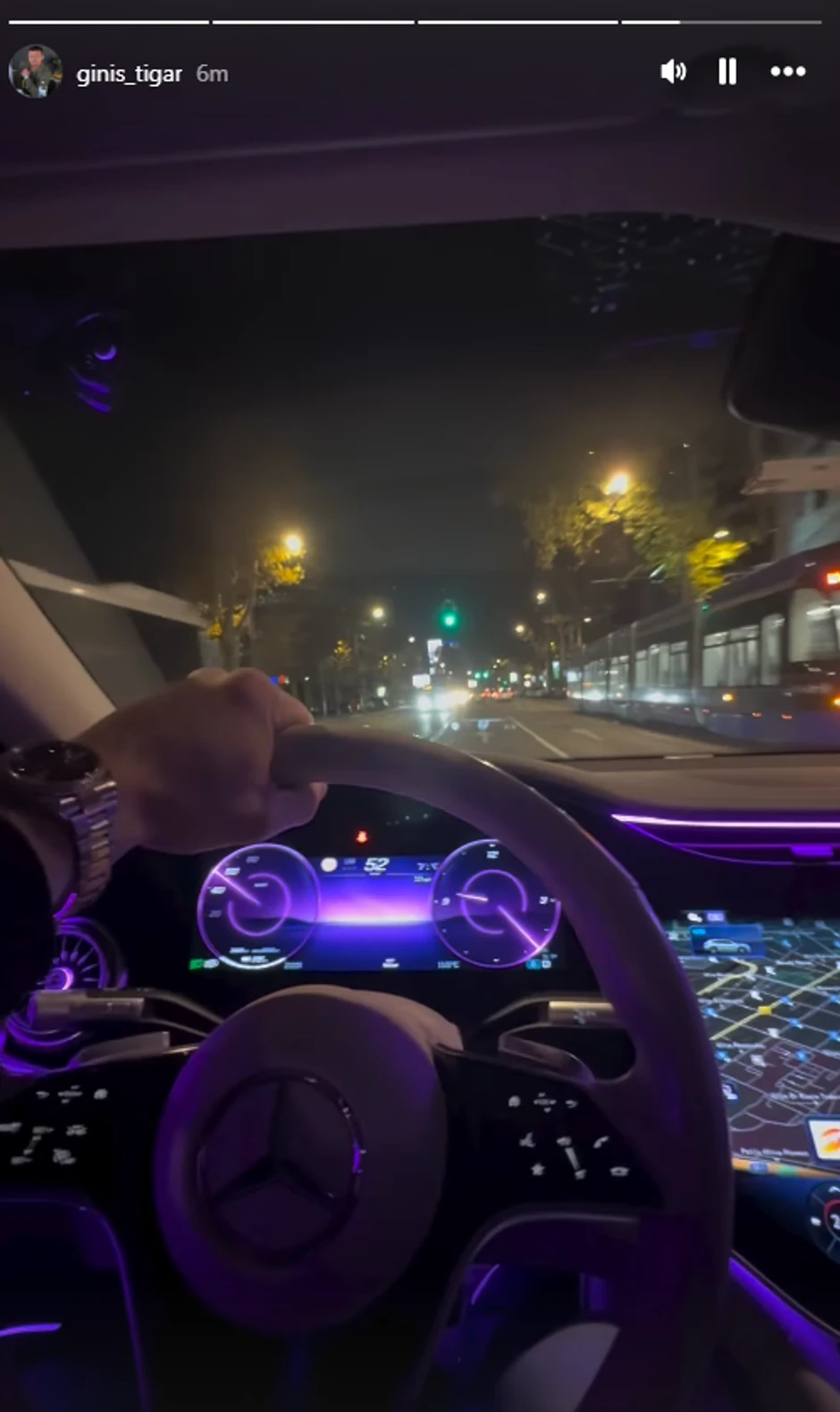 Tigar se vozi u luksuznom automobilu