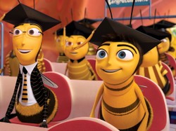 Elitę pszczół tworzą zapylacze