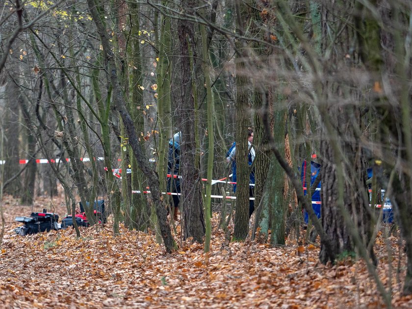 Zabójstwo w Łodzi. Zwłoki kobiety w parku