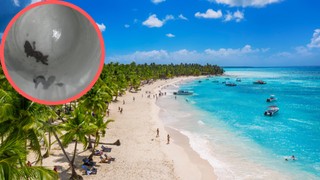 Niewykorzystany urlop należy rozpocząć najpóźniej do końca września następnego roku