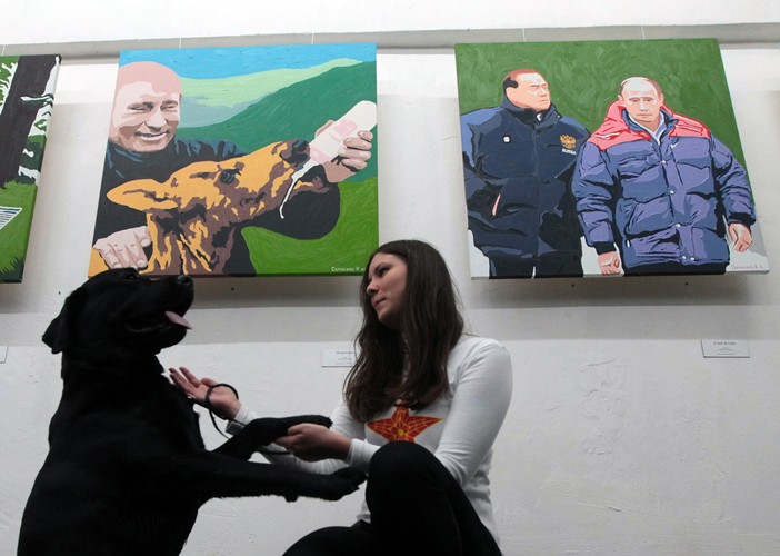 Czarny labrador na wystawie