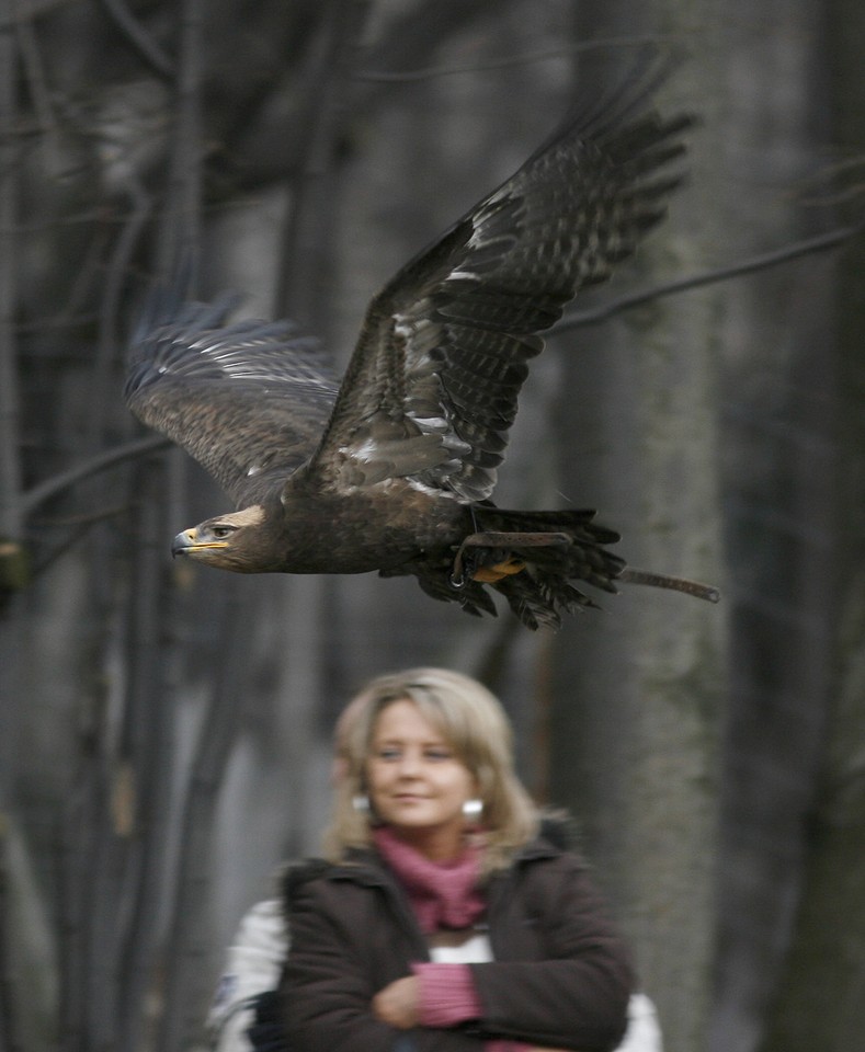 USTROŃ LEŚNY PARK NIESPODZIANEK ZWIERZĘTA