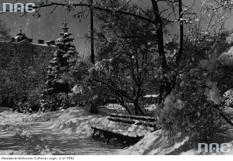 Plac Katedralny w Wilnie zimą, 1931-03