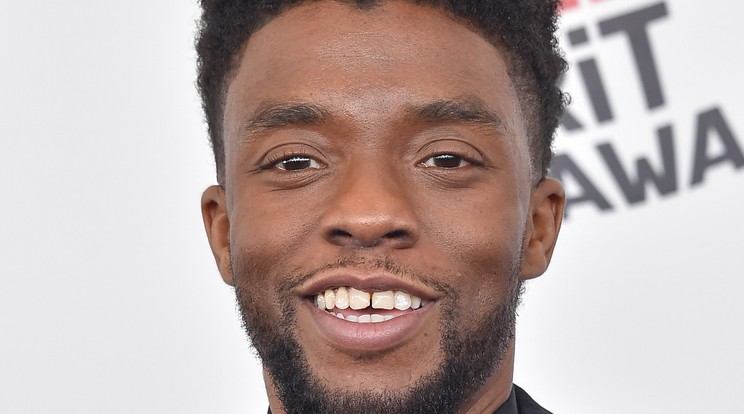 A 7 éves Kiannak Chadwick Boseman volt a példaképe./ Fotó: Northfoto