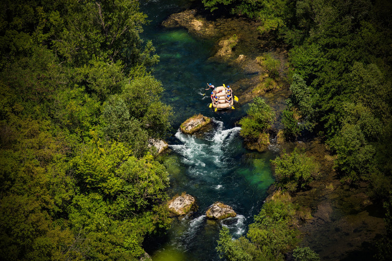 Cetina