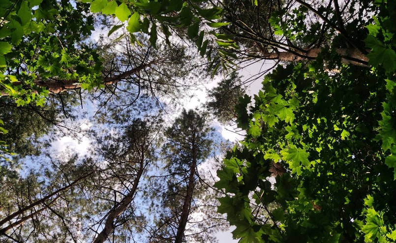 Zdjęcie wykonane smartfonem Xiaomi Mi 10 Lite 5G