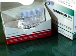 Szkło w corhydronie nie z winy producenta