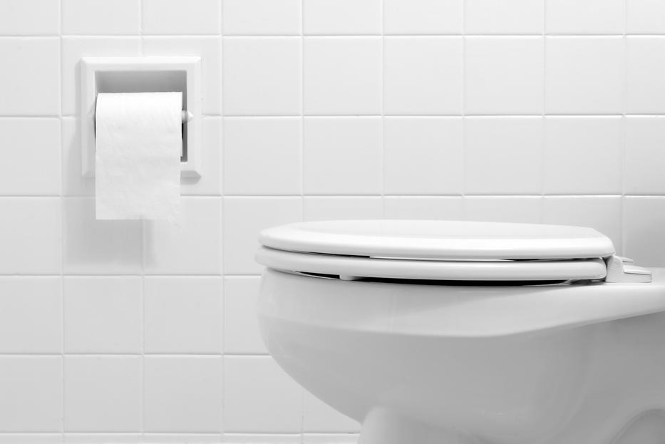 Ezt a 6 dolgot tilos a WC-n lehúzni - Blikk Rúzs