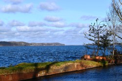 Sinice w Jeziorze Zegrzyńskim. Sanepid wprowadza pierwsze zakazy kąpieli