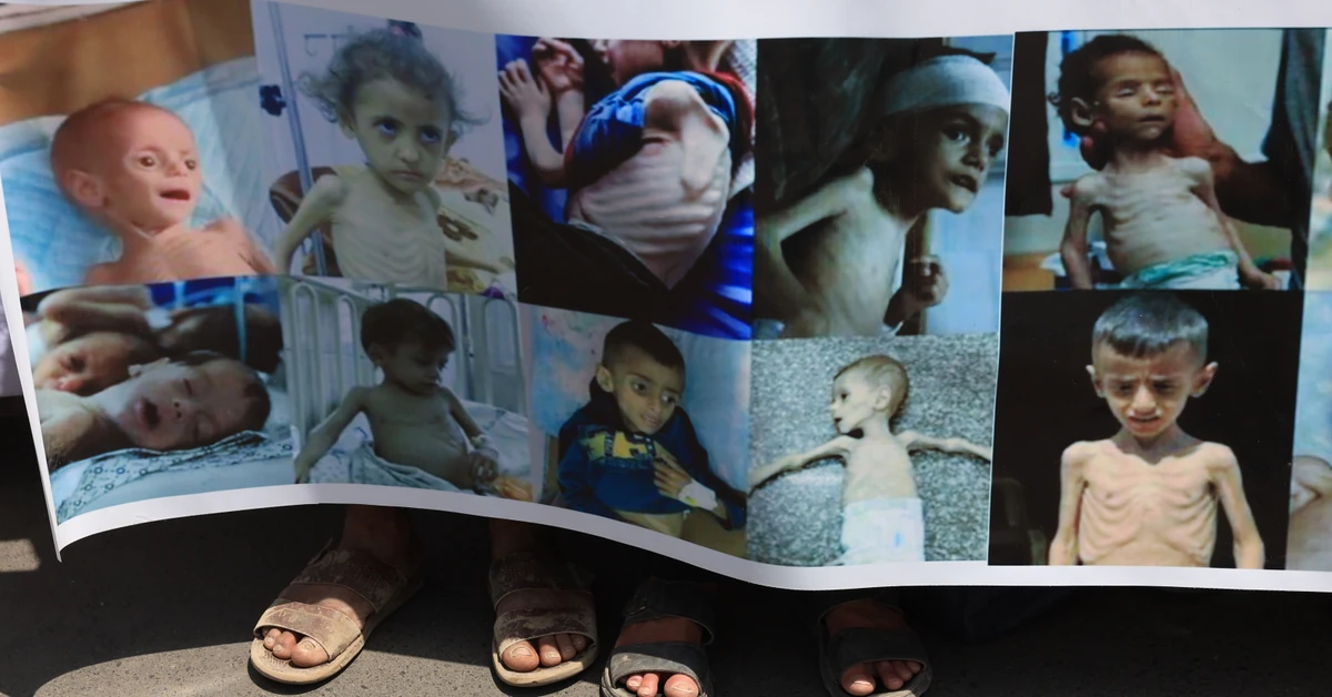 "Żydzi dokonują holokaustu w Strefie Gazy". Organizacje humanitarne biją na alarm