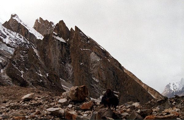 Galeria Pakistan - K2 - wyprawa do Bazy, obrazek 14