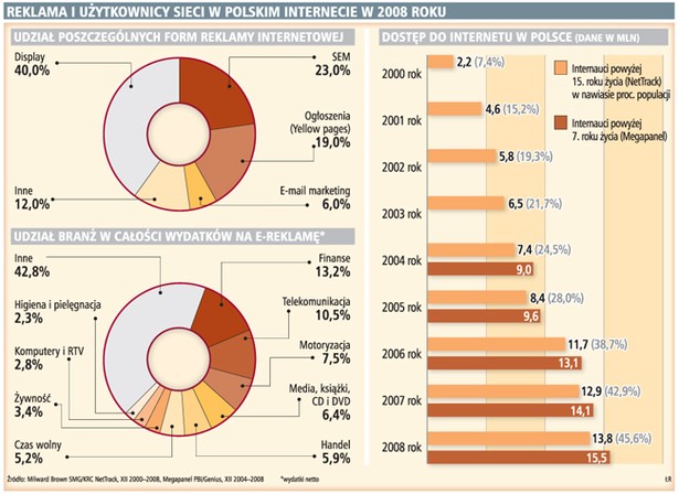 Reklama i użytkownicy sieci w polskim internecie w 2008 roku