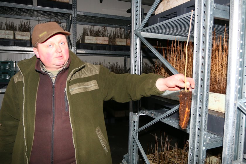 Jarosław Kaczyński rozda małe Bolki