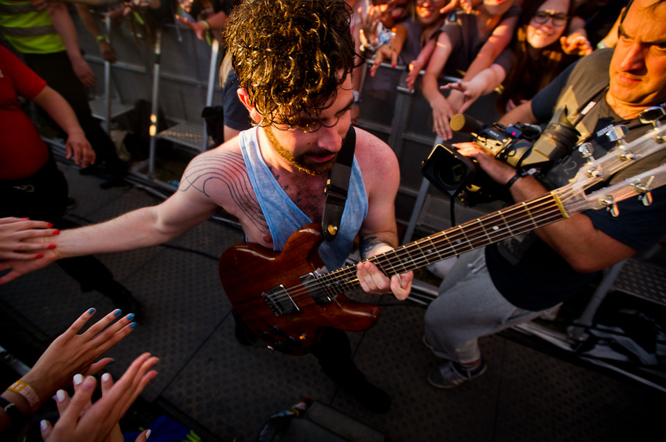 Foals