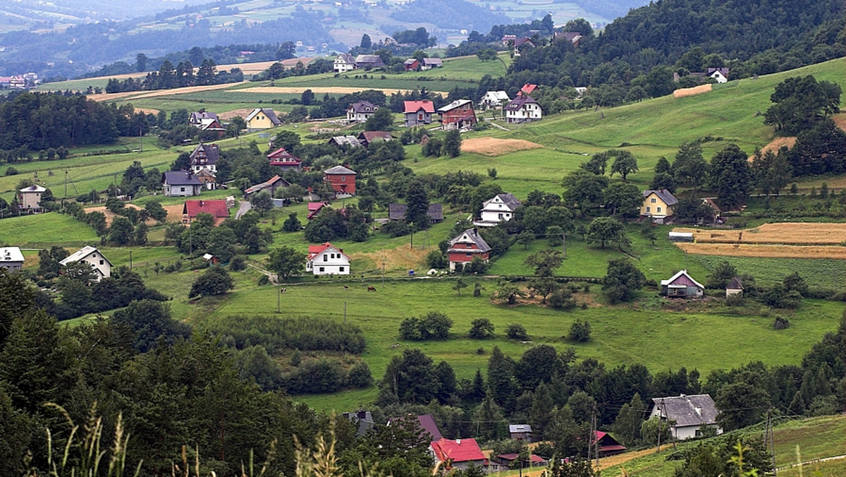 Muzeum małopolskiego artysty ludowego Piotra Kwita (1929- 2002), którego talent porównywany jest do Nikifora Krynickiego, powstanie w jego rodzinnej miejscowości Zalesie w gminie Kamienica. Zawiązał się już komitet honorowy utworzenia placówki.