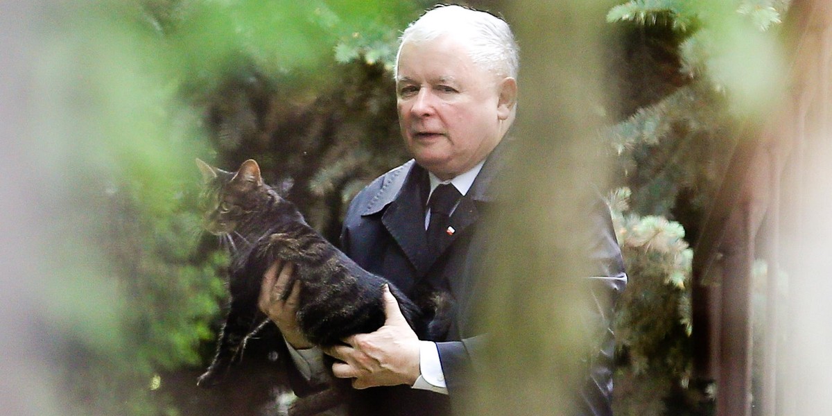 Jarosław Kaczyński ma problemy z kotem