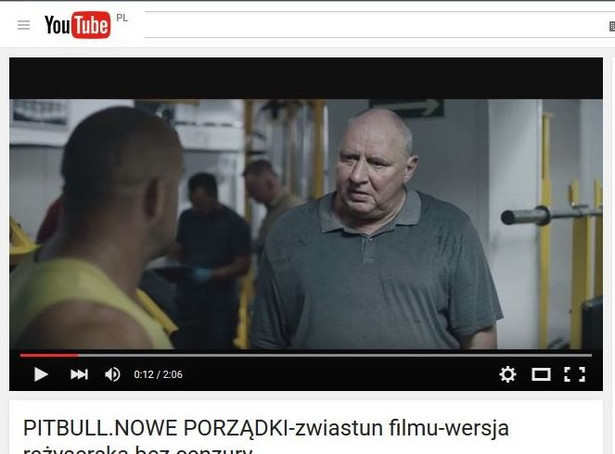 Jest pierwszy zwiastun filmowego "Pitbulla" [WIDEO]