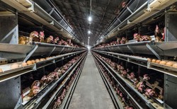 "Rz": Śmierdzące sąsiedztwo, tylko jeśli plan miejscowy zezwoli