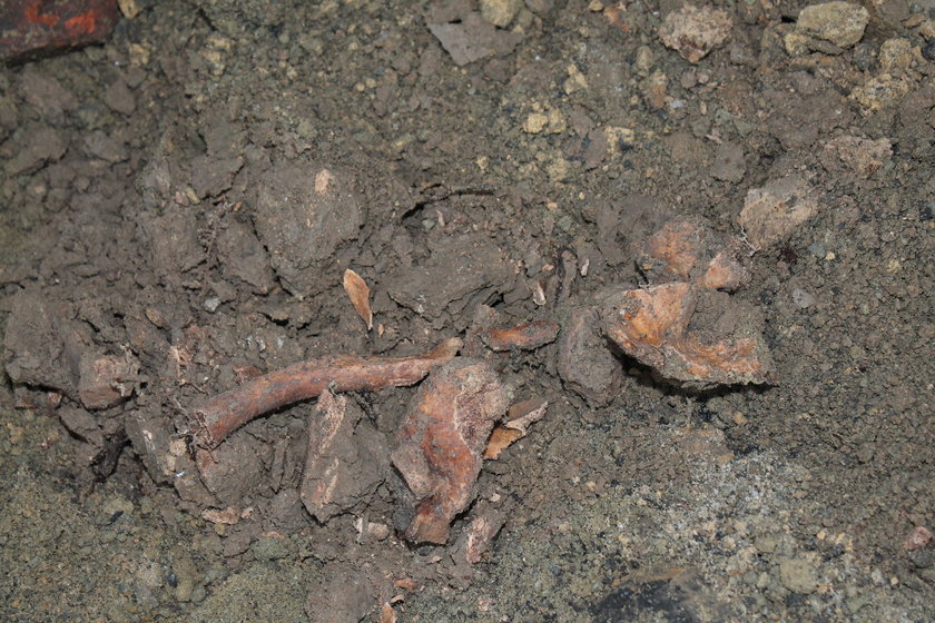 W fundamentach kamienicy z Oświęcimia odkryto ludzkie szczątki