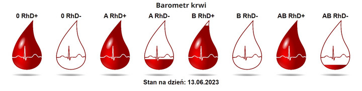 Jakiej krwi brakuje w Zielonej Górze?