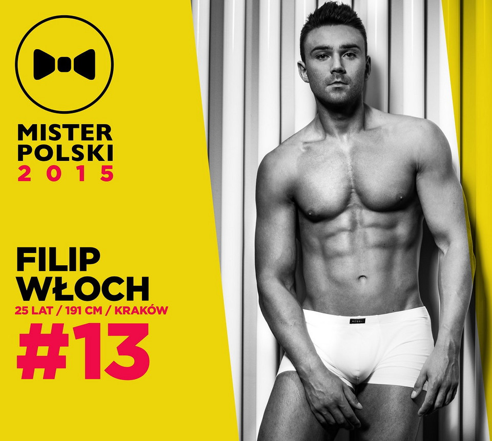 Finaliści konkursu Mister Polski 2015