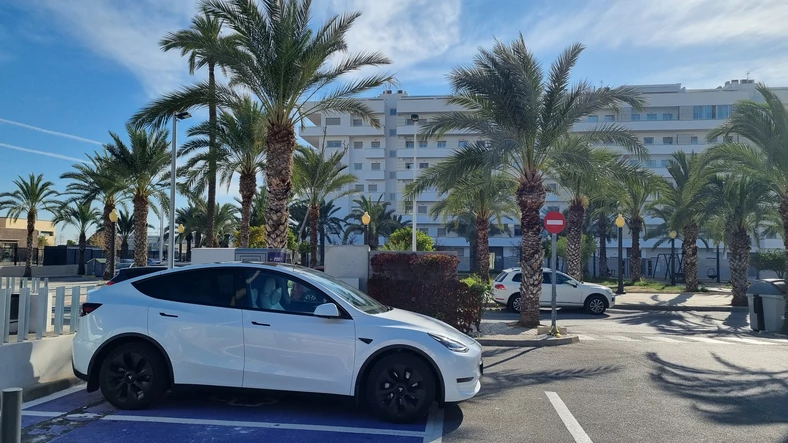 Tesla Model Y i hiszpańskie palmy