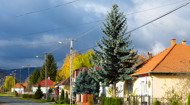 A pályázatot várhatóan / Fotó: Shutterstock