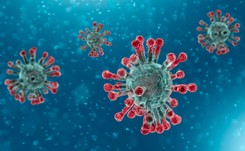 W Nowym Jorku zmarł zakażony koronowirusem polski lekarz