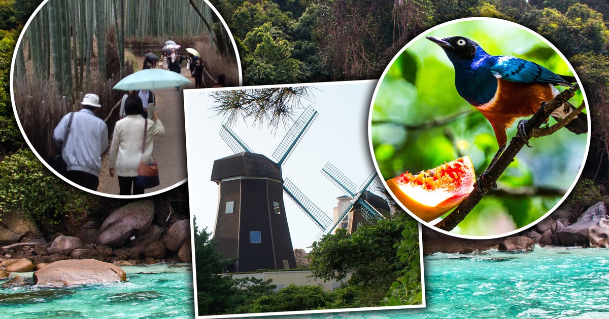 Gdzie polecieć jesienią? Trzy kraje coraz popularniejsze wśród polskich turystów