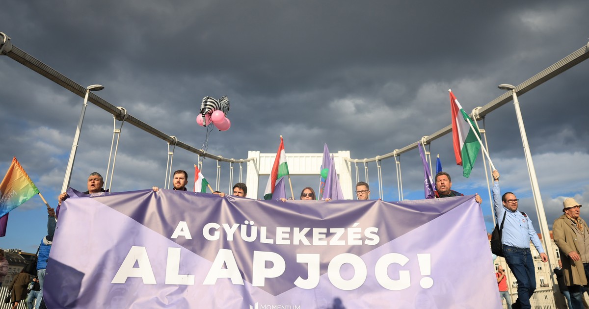 Elfoglalták az Erzsébet hidat a tüntetők - fotók, videók