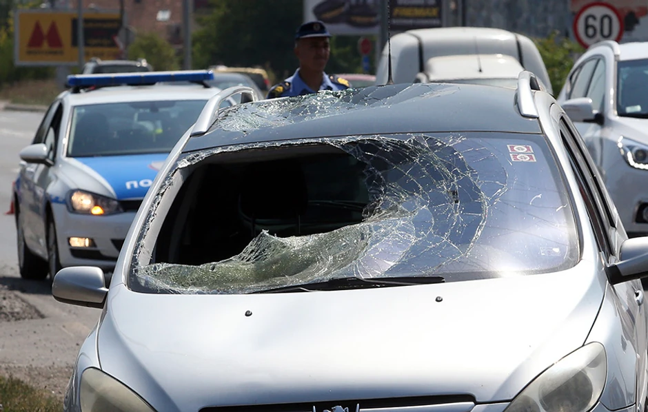 Udes-policija-uvidjaj